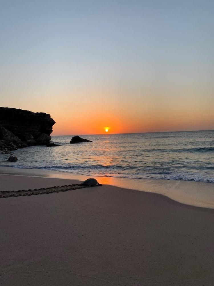 Ras Al Jinz Turtle Reserve Al Hadd Luaran gambar