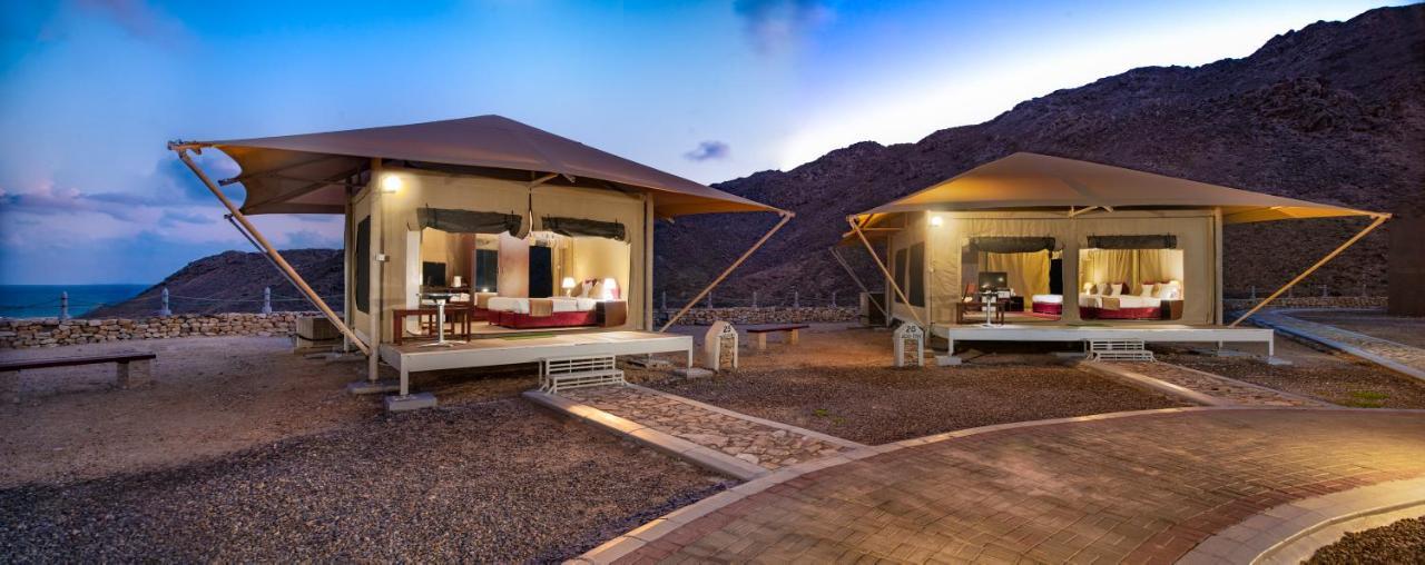 Ras Al Jinz Turtle Reserve Al Hadd Luaran gambar