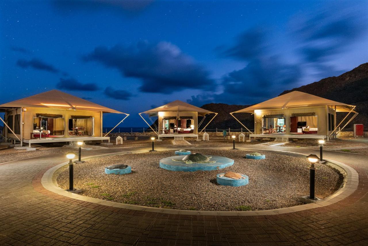 Ras Al Jinz Turtle Reserve Al Hadd Luaran gambar