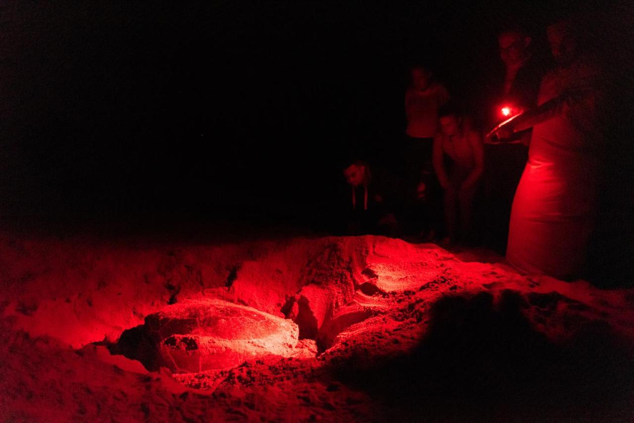 Ras Al Jinz Turtle Reserve Al Hadd Luaran gambar