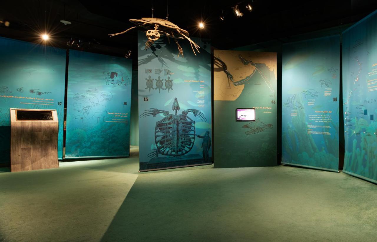 Ras Al Jinz Turtle Reserve Al Hadd Luaran gambar